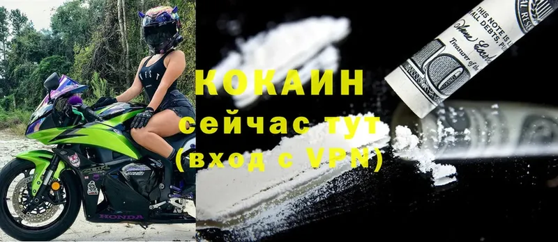 Cocaine Fish Scale  Полтавская 