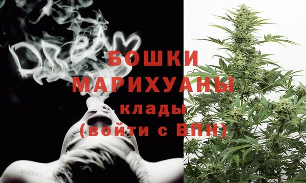 ГАЛЛЮЦИНОГЕННЫЕ ГРИБЫ Беслан