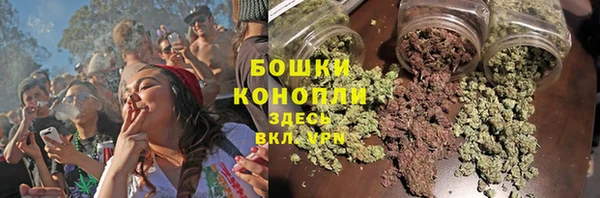 ECSTASY Новозыбков