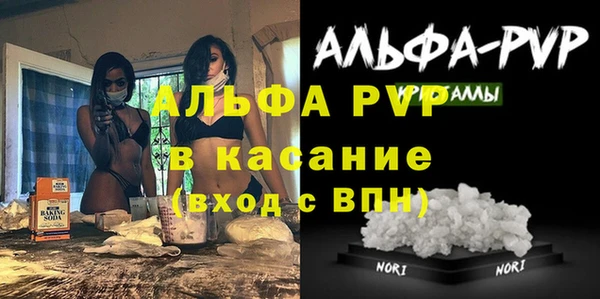 ECSTASY Новозыбков