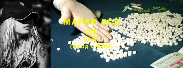молекула духа Няндома
