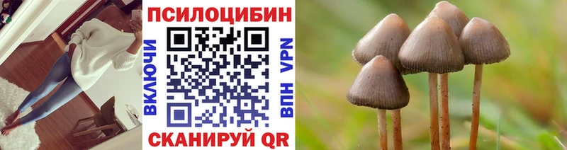 Псилоцибиновые грибы Magic Shrooms  kraken как зайти  Полтавская 